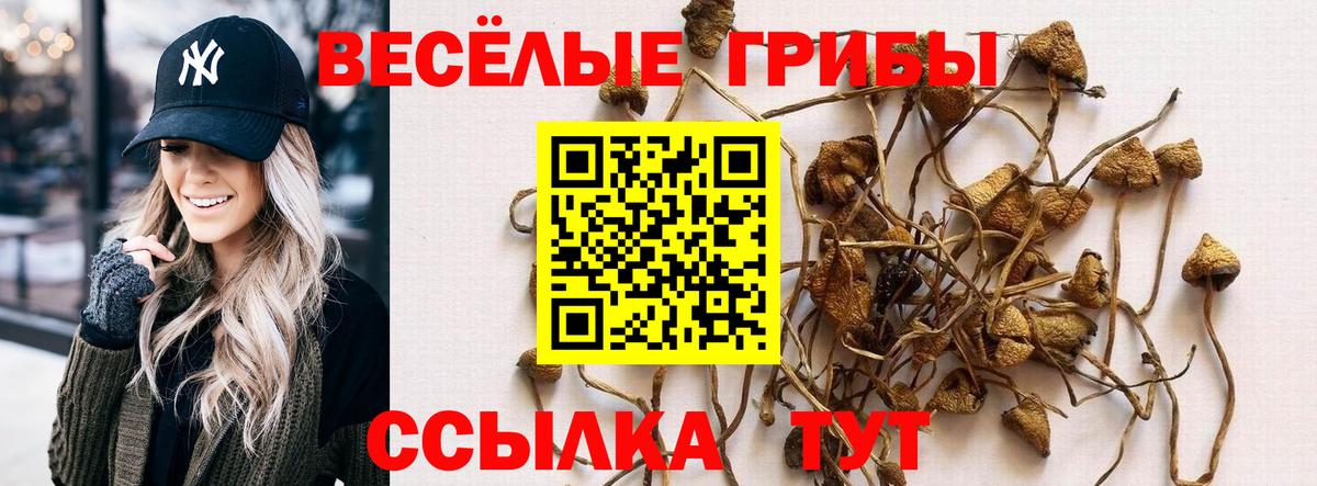 Галлюциногенные грибы мицелий Томск